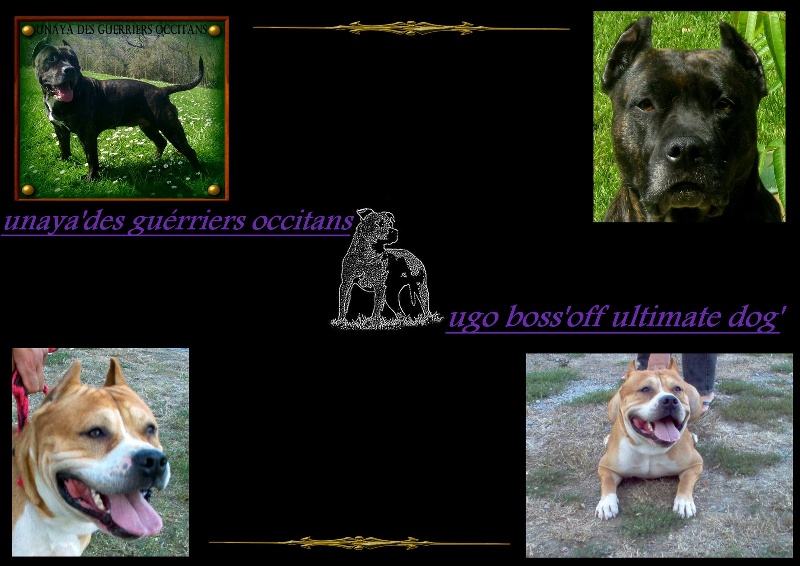 unaya'dgo & ugo boss ultimate dog 07/10/ 2005