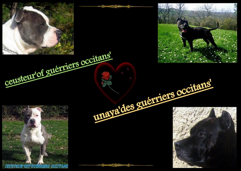 unaya des guérriers occitans/cerdan alias ceuster/née le 01/09/08