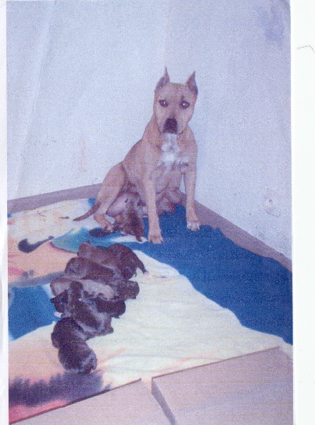 sephora & raider 10/10/04